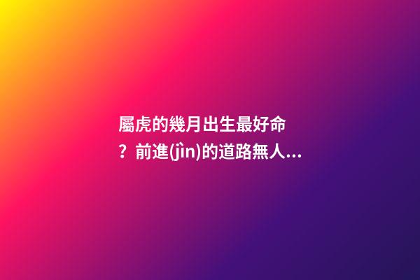 屬虎的幾月出生最好命？前進(jìn)的道路無人能擋